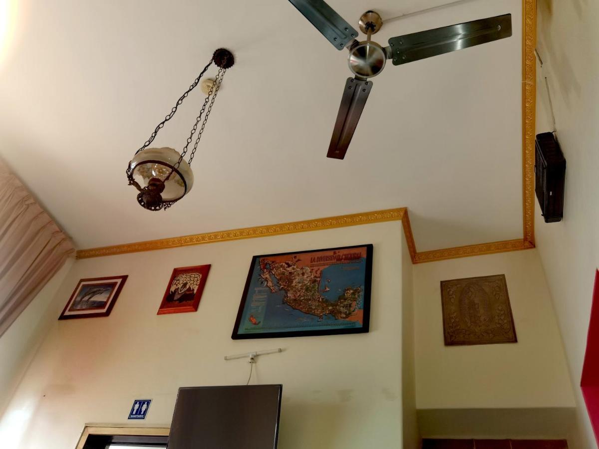 The Roof Backpackers Hotel Guadalajara Kültér fotó