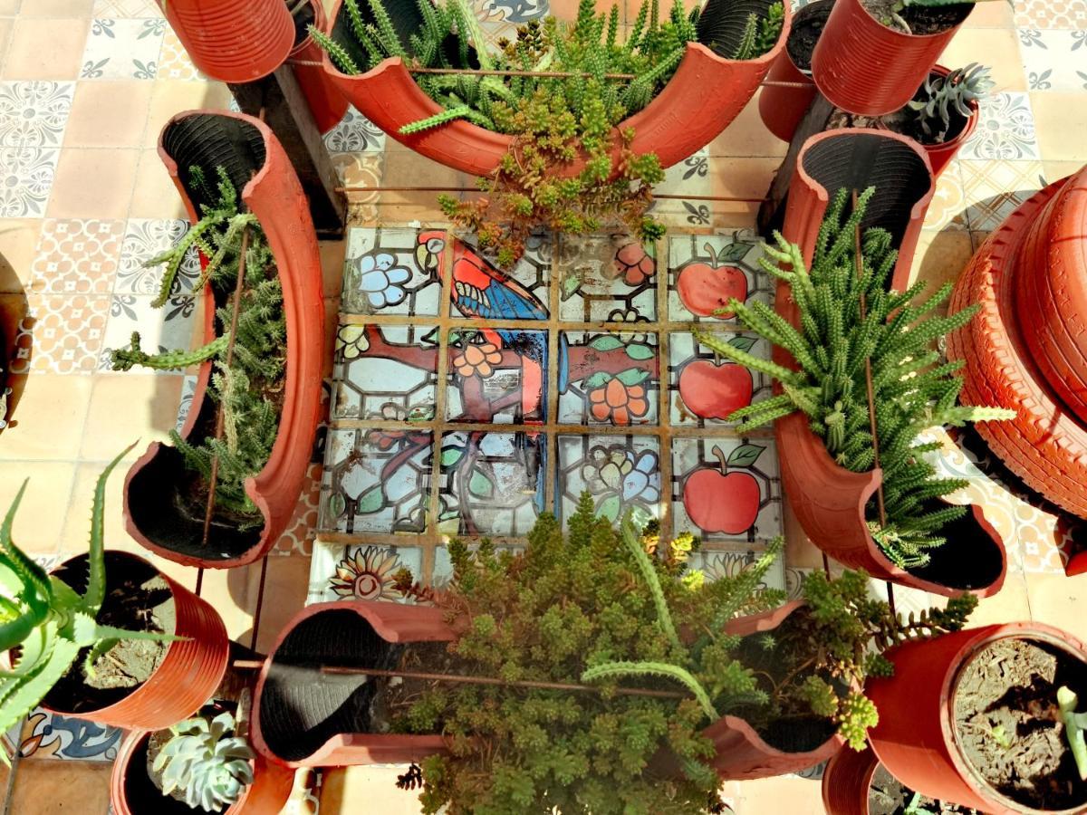 The Roof Backpackers Hotel Guadalajara Kültér fotó