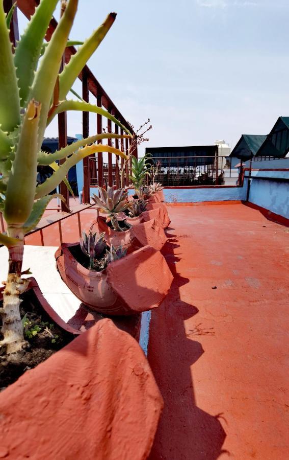 The Roof Backpackers Hotel Guadalajara Kültér fotó