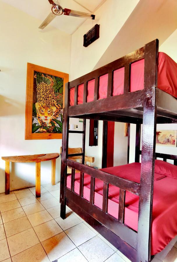 The Roof Backpackers Hotel Guadalajara Kültér fotó