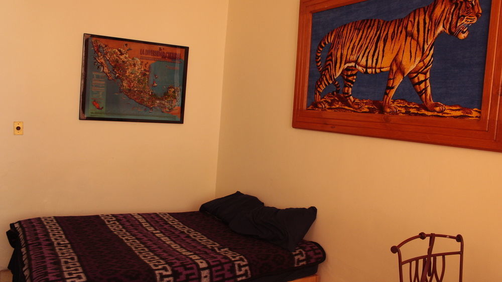 The Roof Backpackers Hotel Guadalajara Kültér fotó
